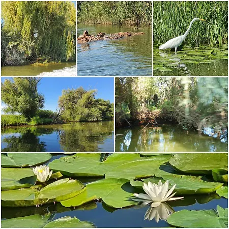 Casa De Vacanta Spiritul Deltei Sfântu Gheorghe