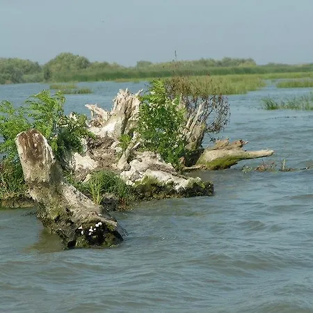 Casa De Vacanta Spiritul Deltei Sfântu Gheorghe