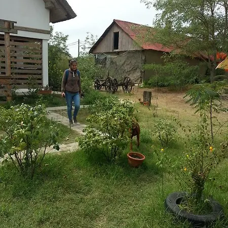 Casa De Vacanta Spiritul Deltei 3*