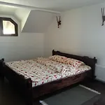 Guest house Casa De Vacanta Spiritul Deltei 3*