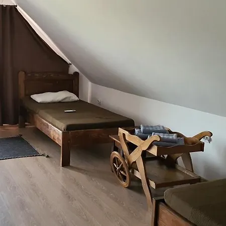 Πανσιόν Casa De Vacanta Spiritul Deltei