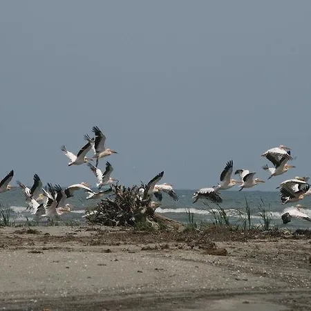 Casa De Vacanta Spiritul Deltei Πανσιόν 3*