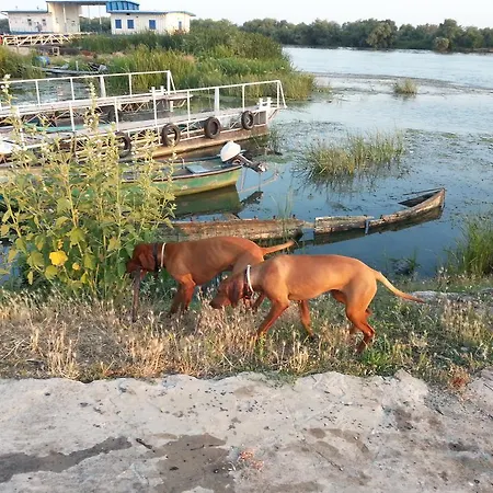 Casa De Vacanta Spiritul Deltei Πανσιόν