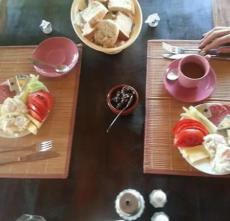 Casa De Vacanta Spiritul Deltei Guest house
