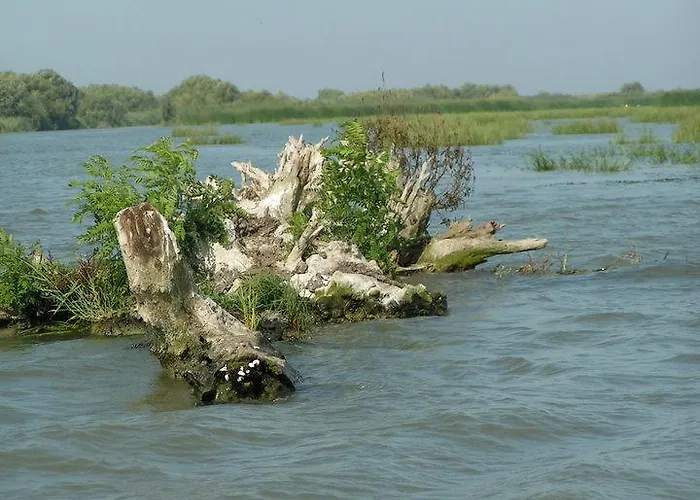 Casa De Vacanta Spiritul Deltei Сфынту-Георге